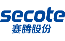 賽騰股份