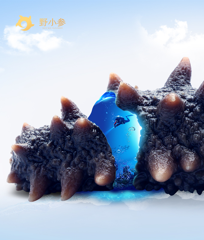 設(shè)計(jì)制作高端網(wǎng)站