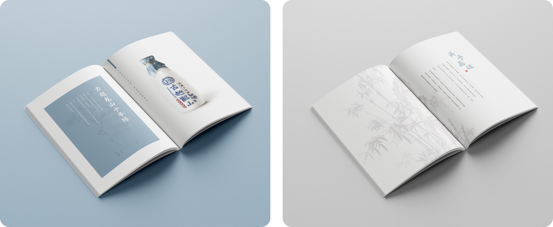 企業(yè)畫(huà)冊(cè)png